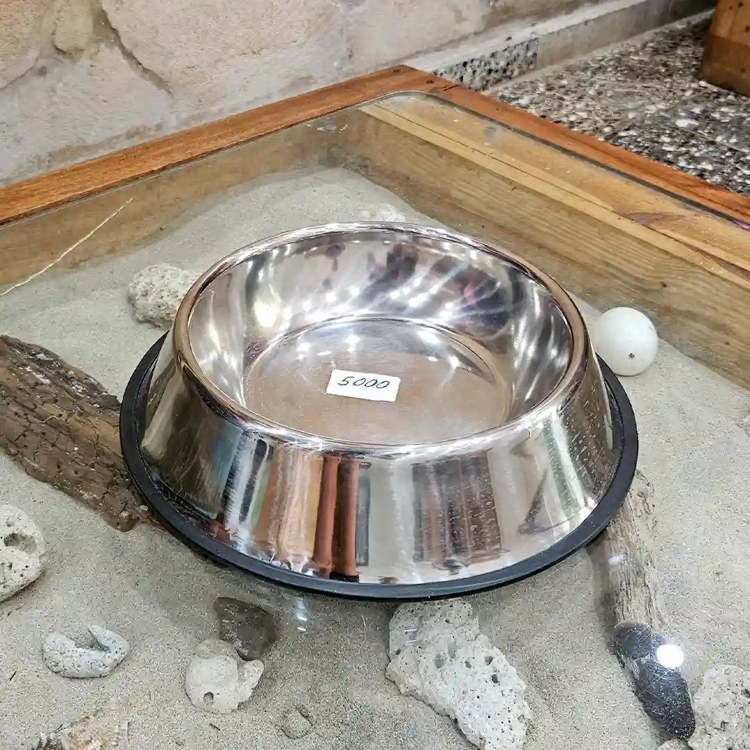 Plato de Acero Inoxidable para Perros Grandes