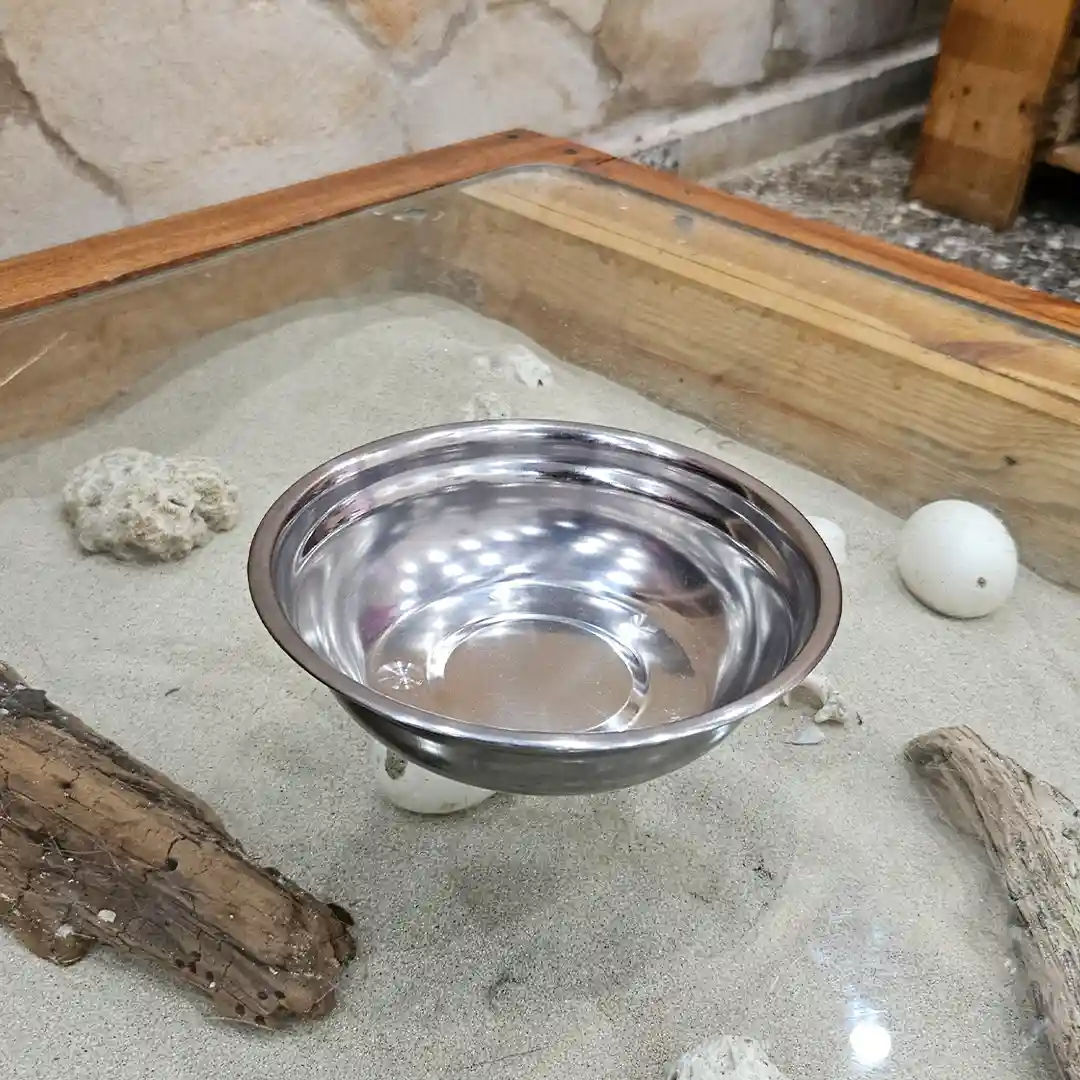 Plato de Acero Inoxidable para Mascotas Pequeñas