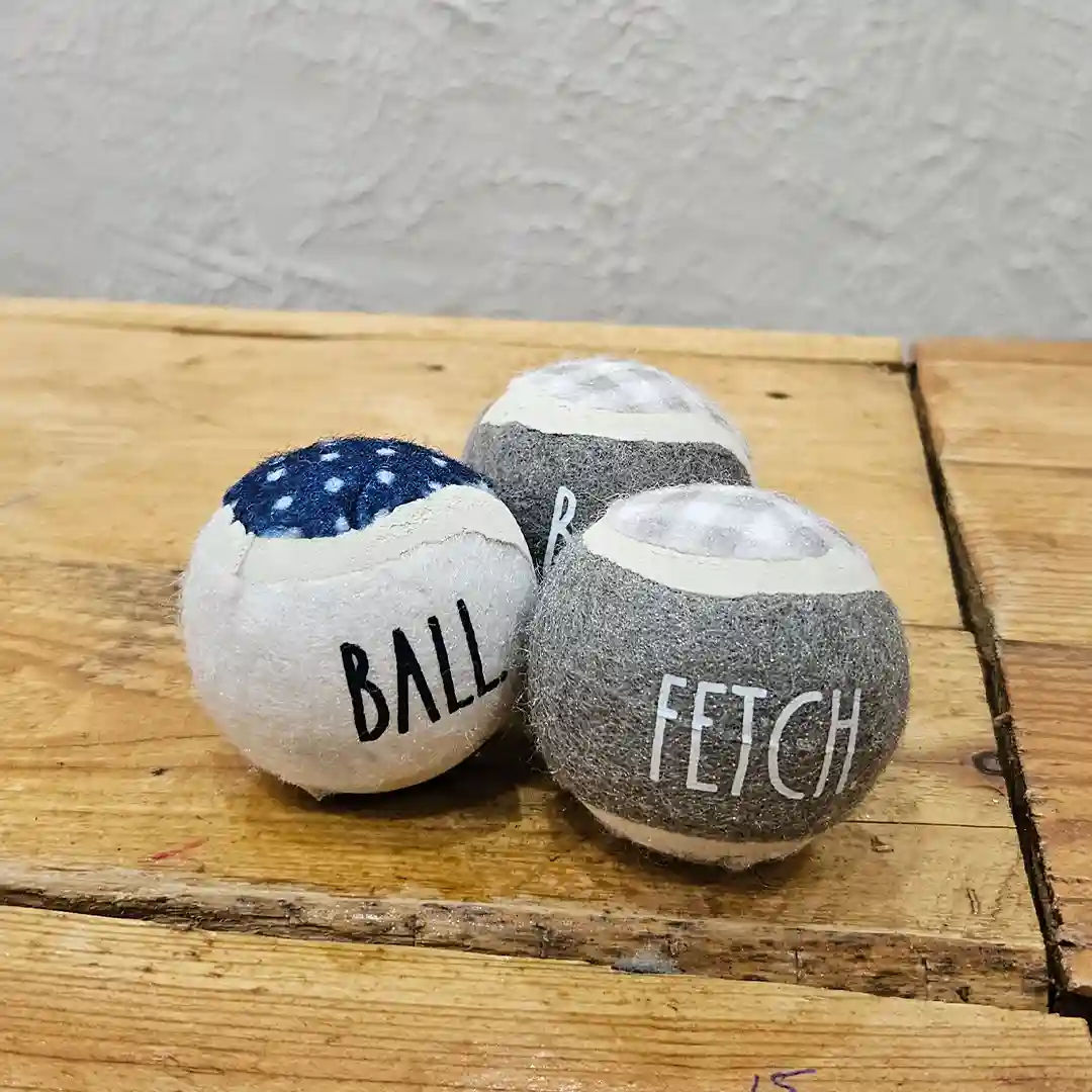 Pelota Pequeña con Diseño “Ball & Fetch”