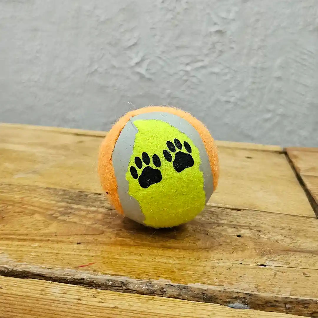 Pelota Mediana con Estampado de Huellas