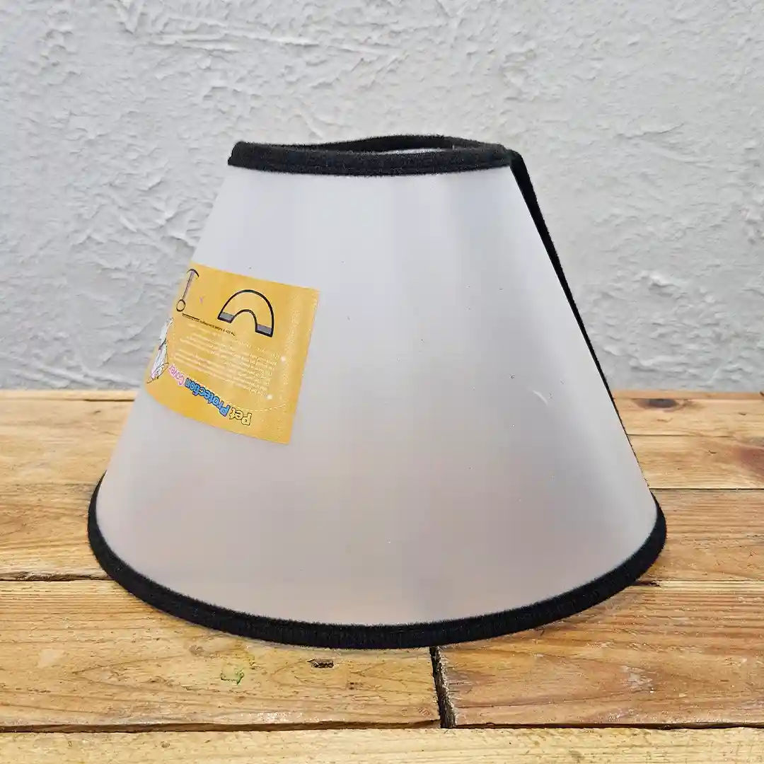 Collar Isolante Transparente – Para Recuperación Segura