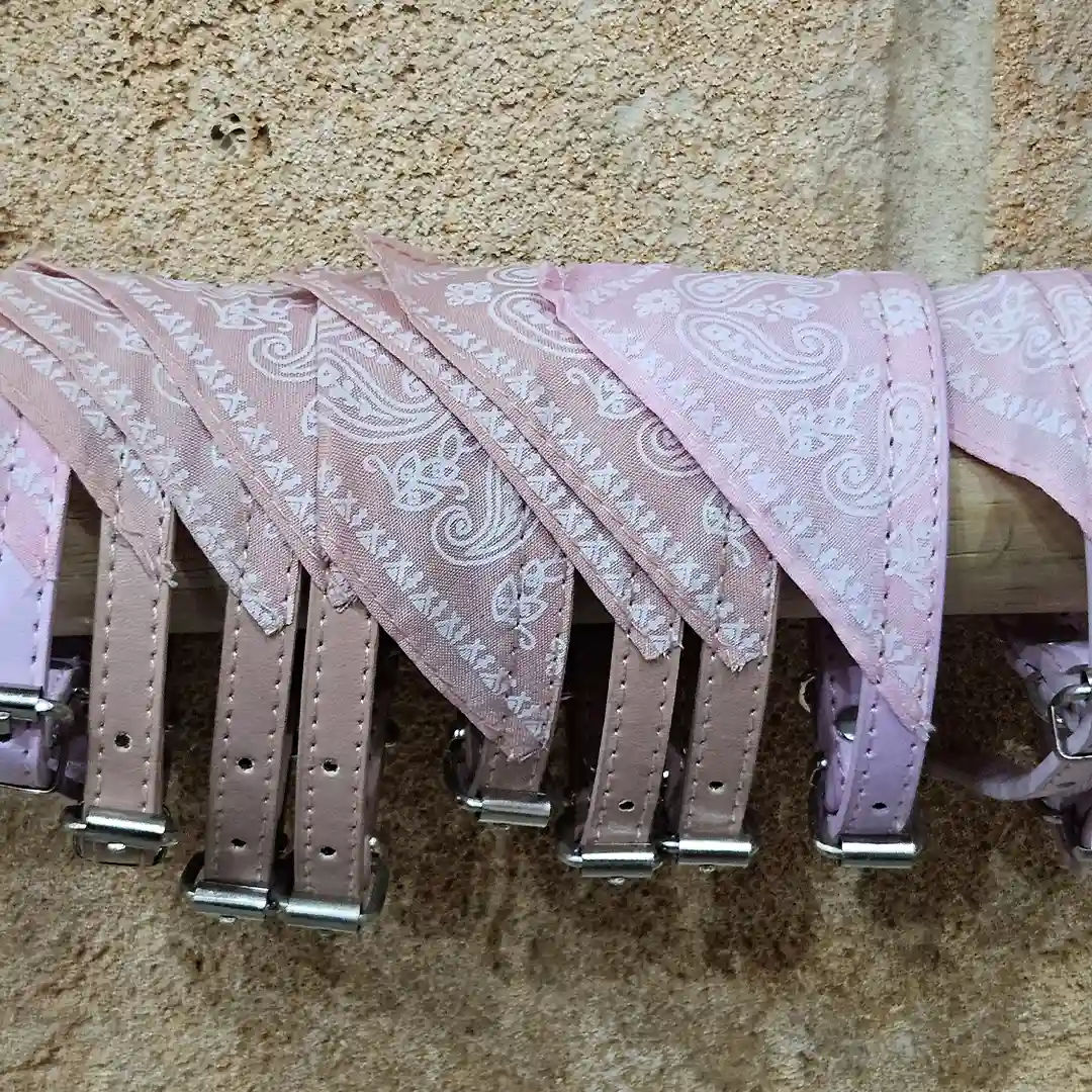 Collar Decorativo con Pañuelo para Perro o Mascotas Pequeña