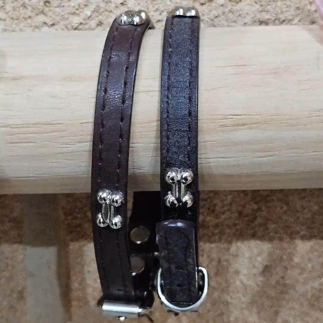 Collar de Cuero para Perro