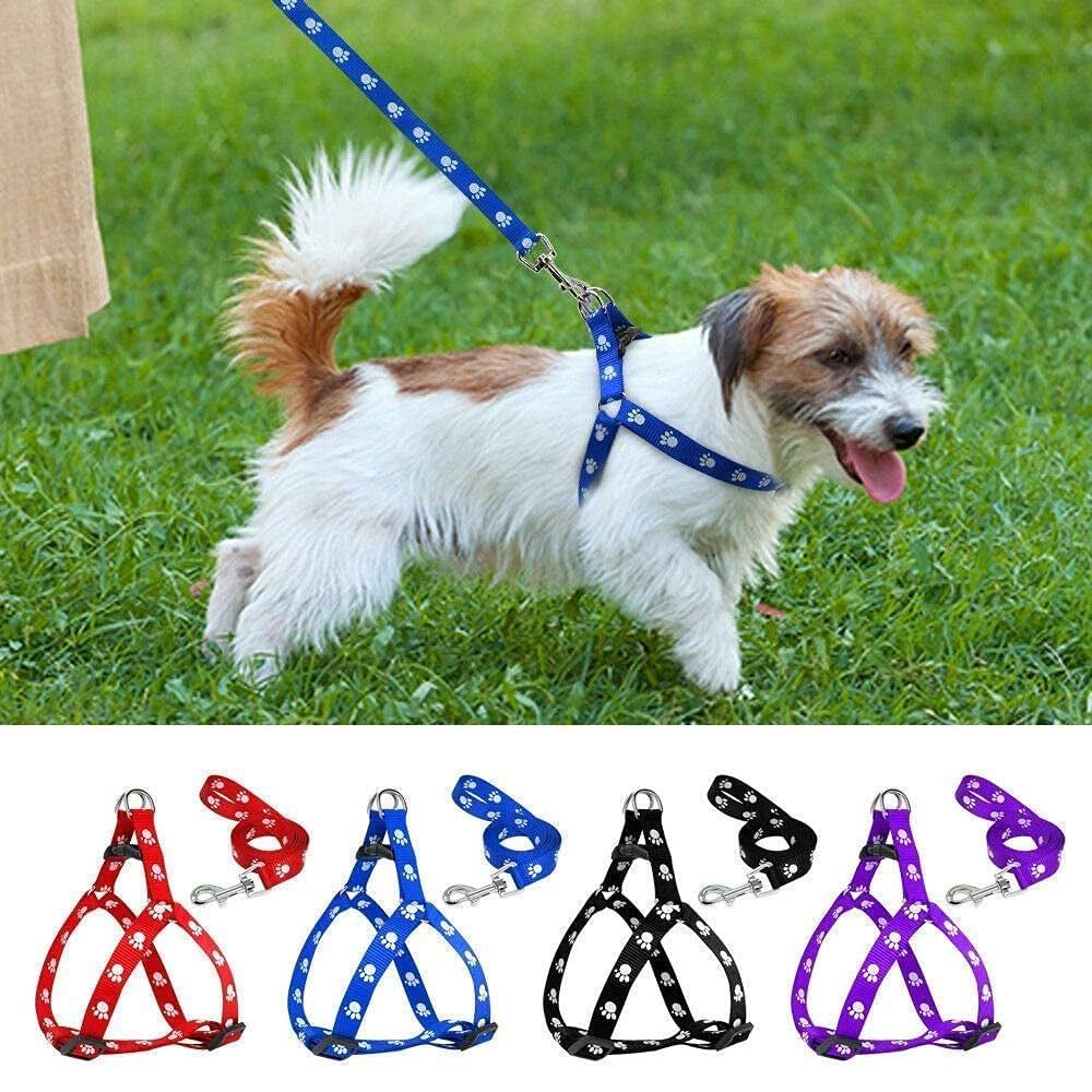 Juego de Arnés Pequeño y Correa para Perro – Pequeña
