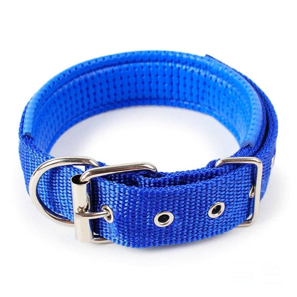 Collar Ajustable para Perro – Mediana