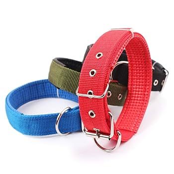 Collar Ajustable para Perro – Grande