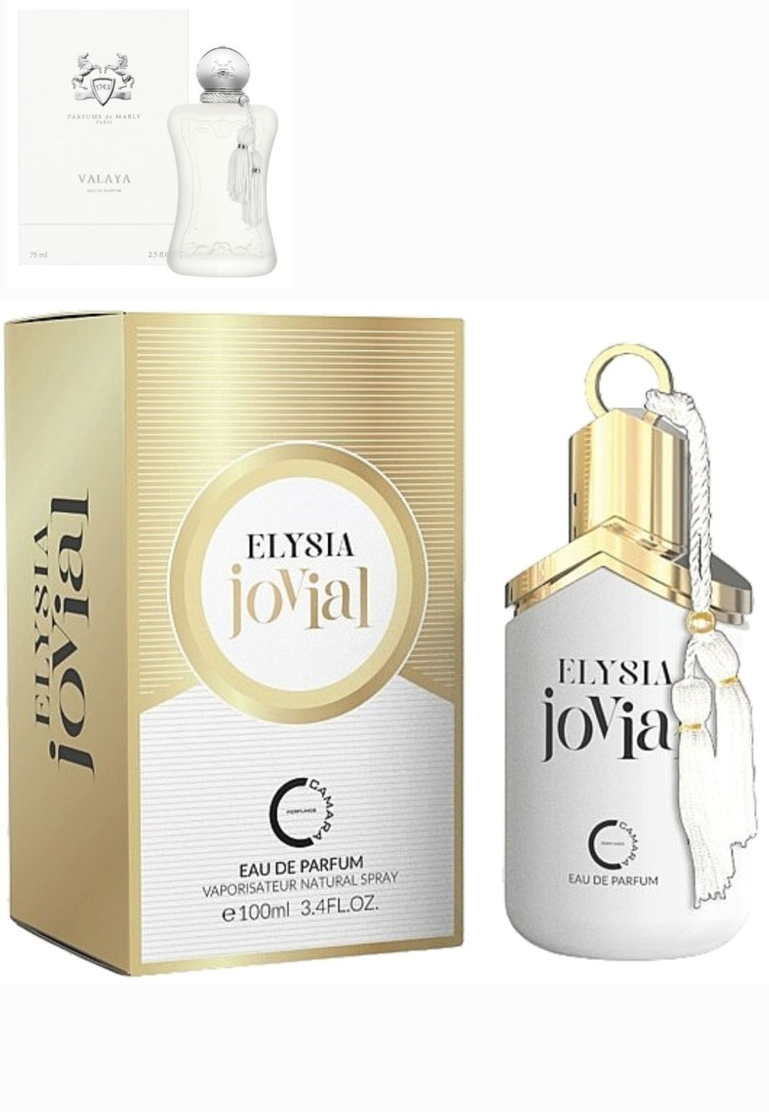 Elysia Jovial by Camara 