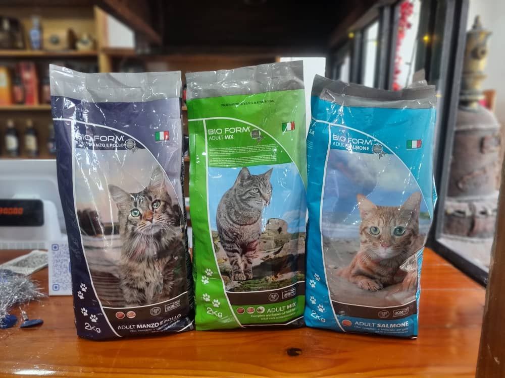 Comida para Gatos