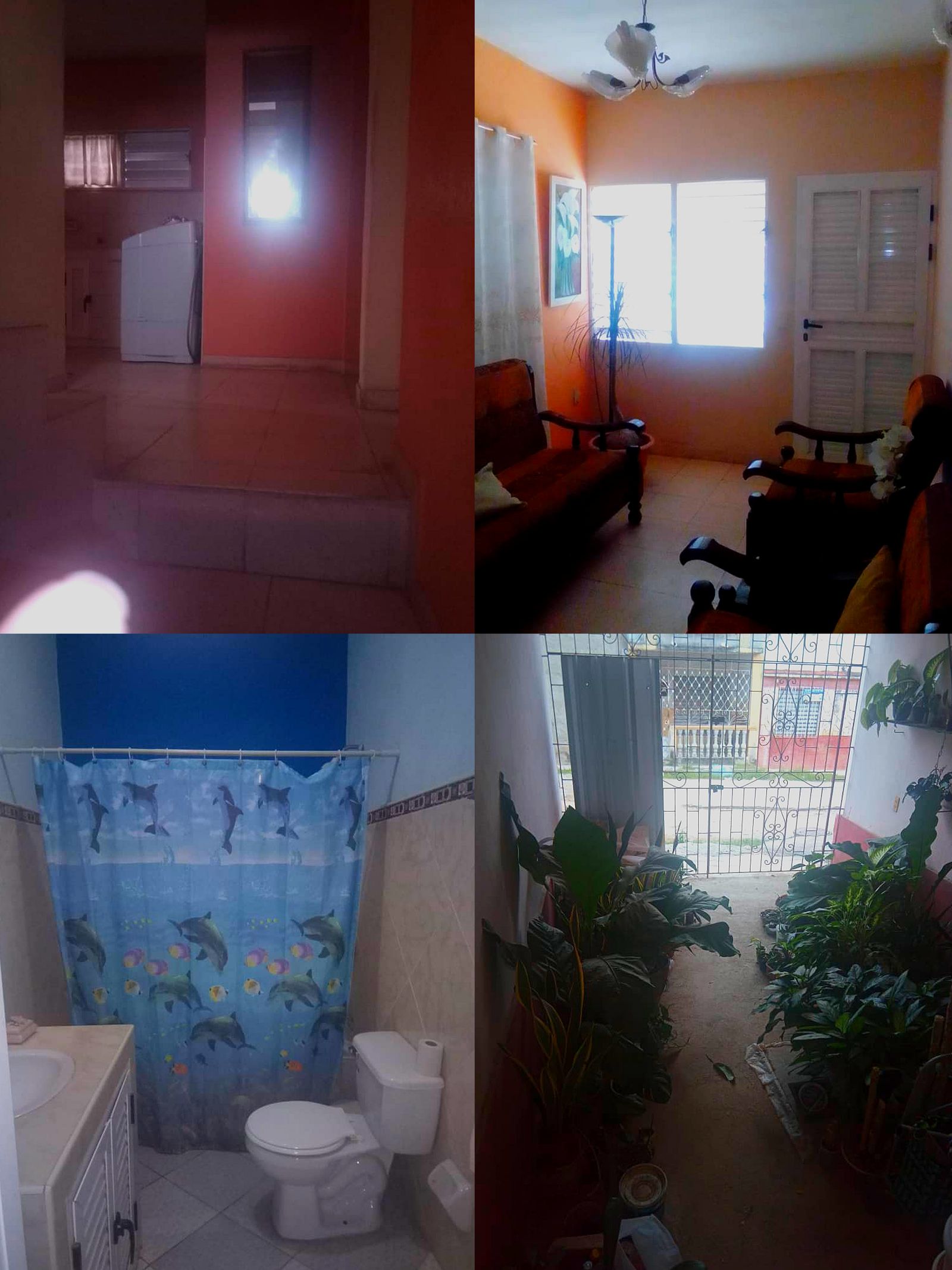 Casa#124