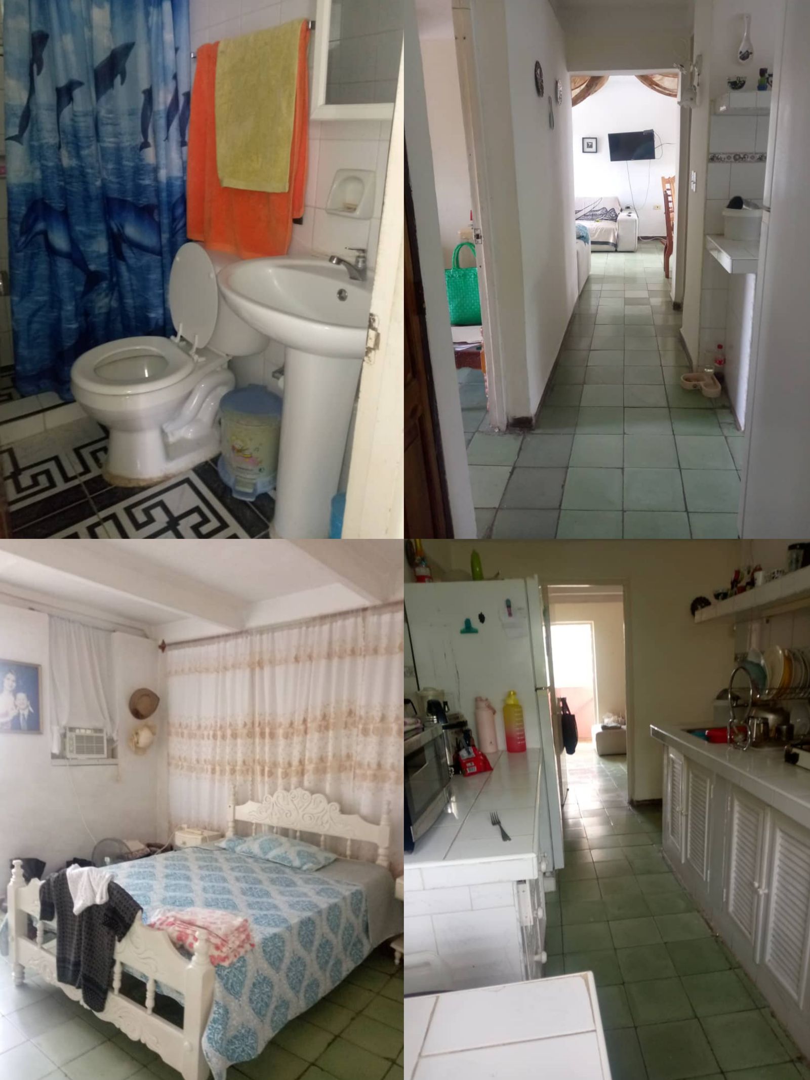 Casa#131