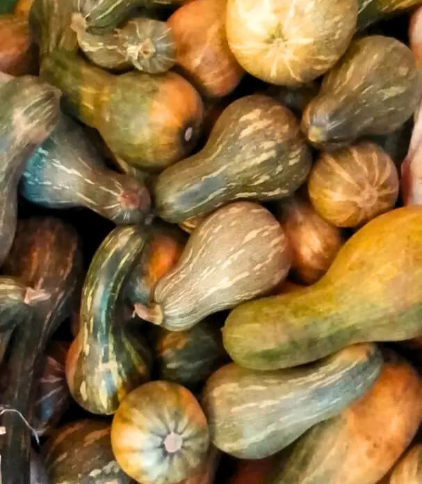 Calabaza