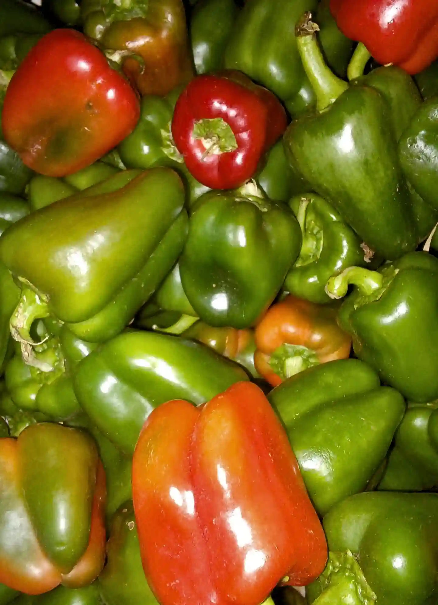Ají Pimiento