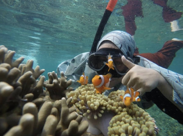 Snorkeling Package