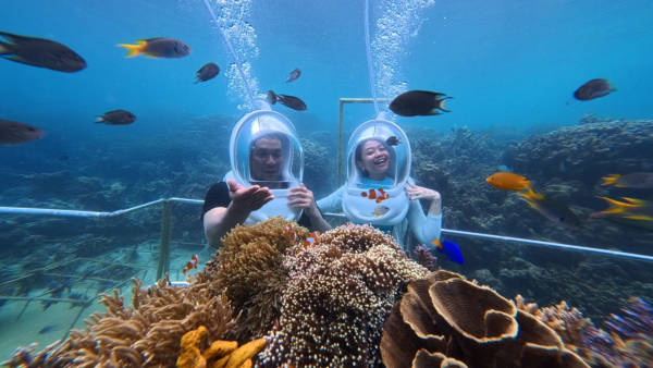 Seawalker