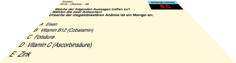 Heilpraktikerprüfungsfragen - Wir helfen Dir dabei, sie zu lösen