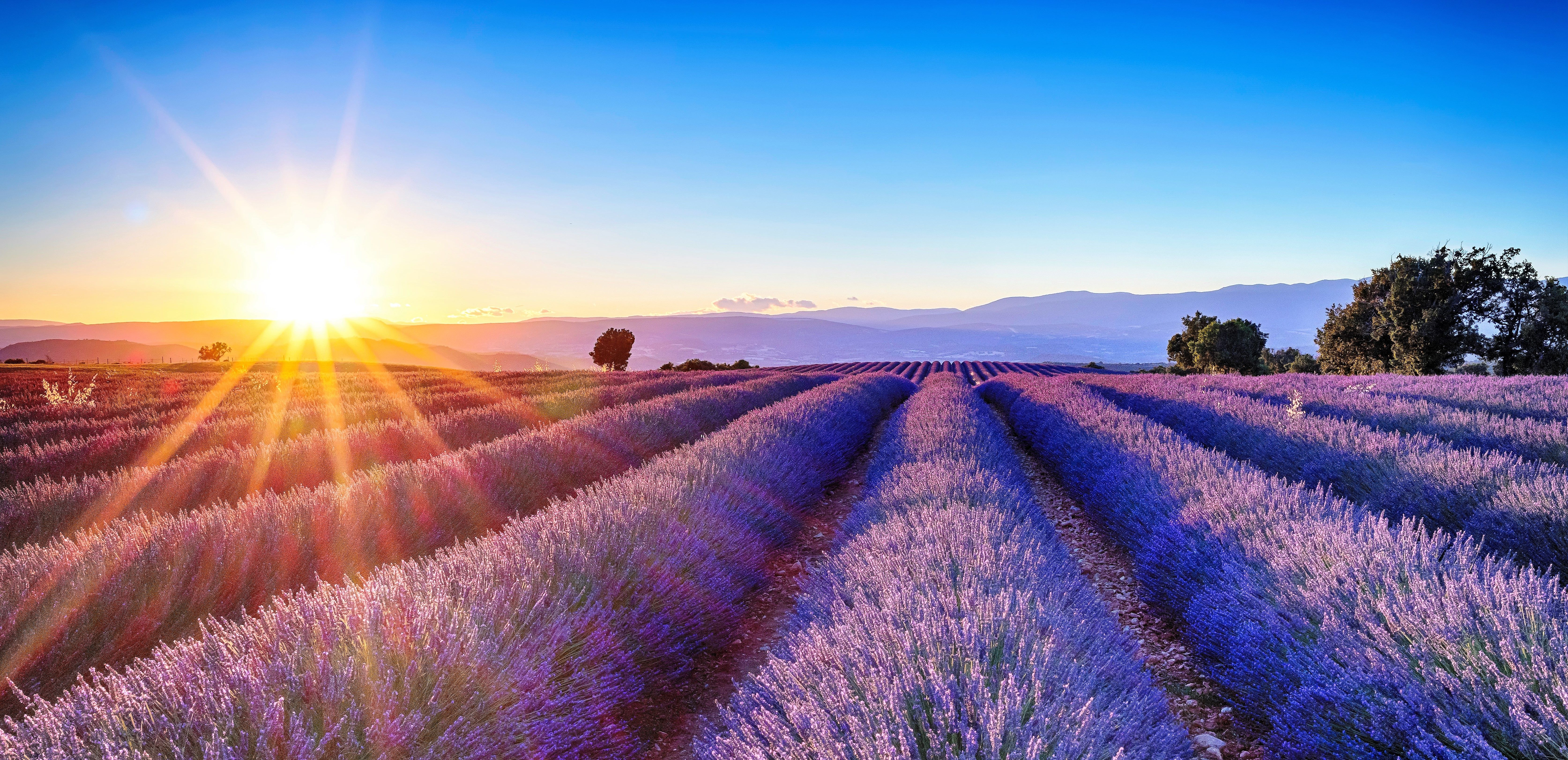 South of France and Provence - Hilliard Area Chamber 4/8/2027-4/16/2027