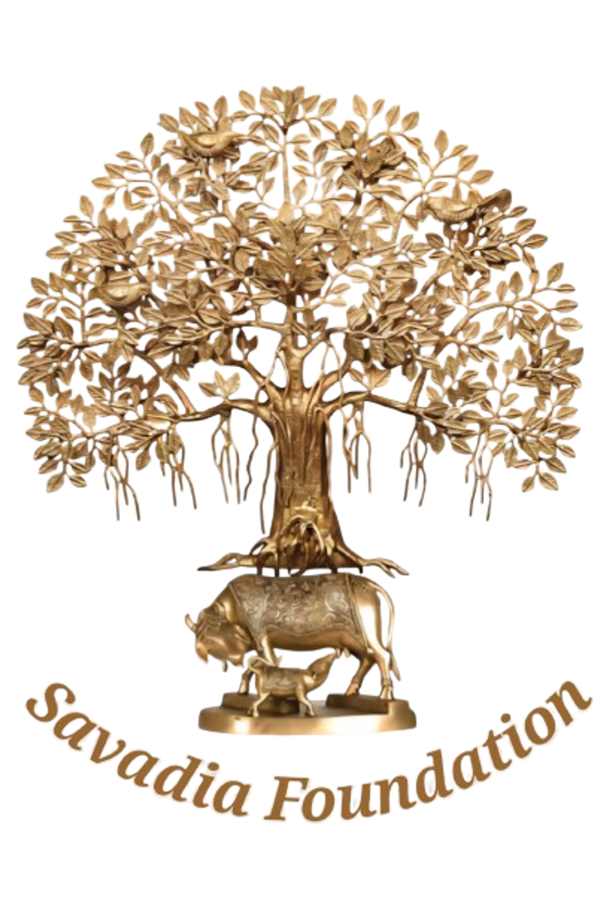Savadia Foundation