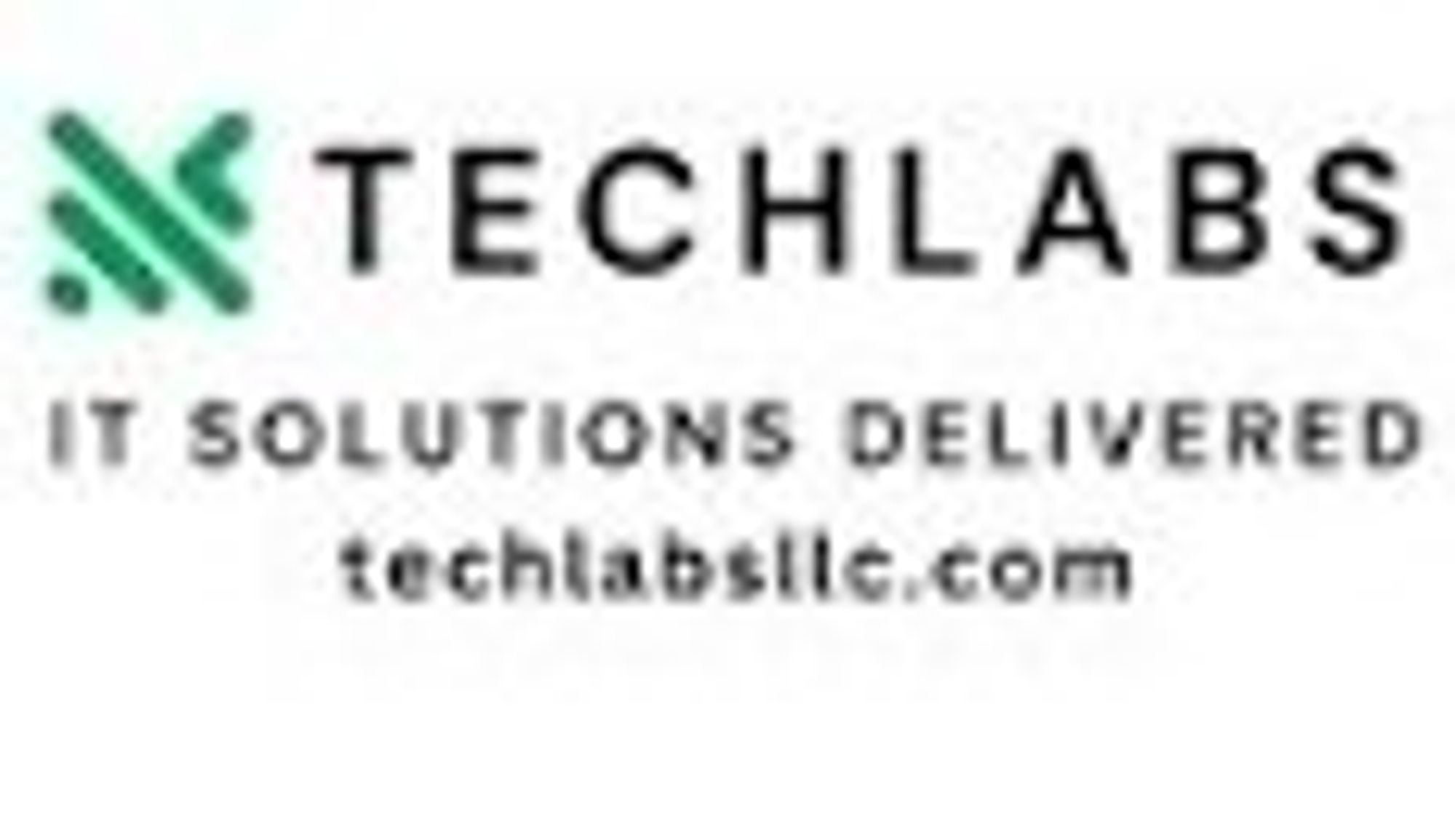 TechLabs