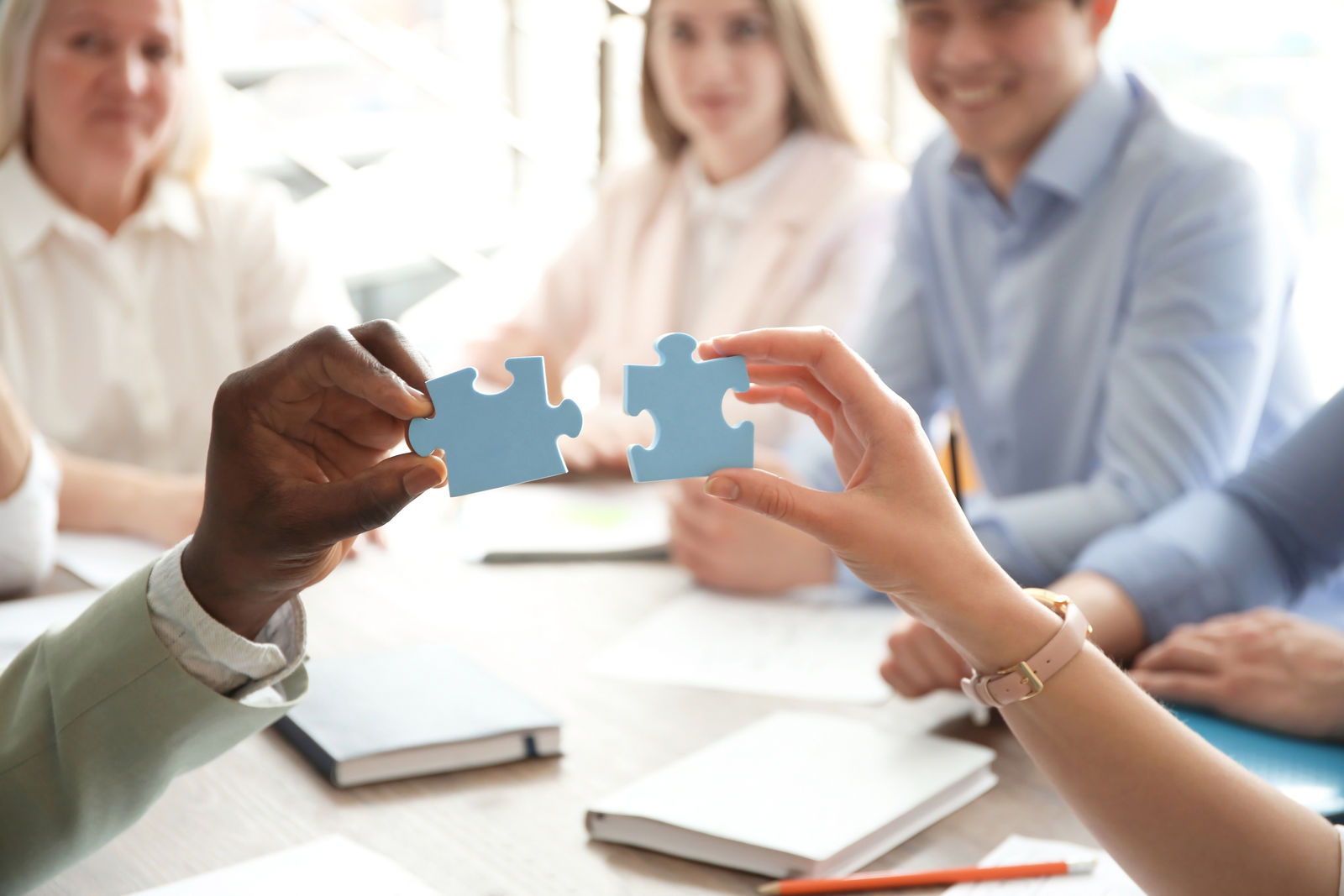 TASK — Skill Alliance Partner
