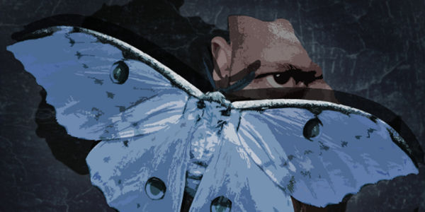 The Moth