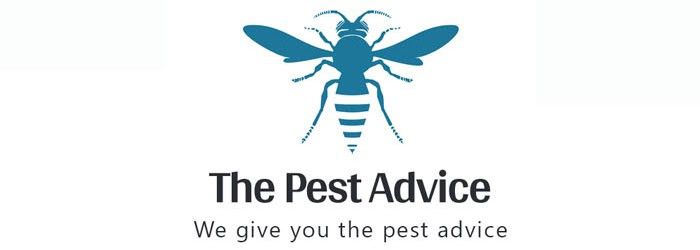 The Pest Advice