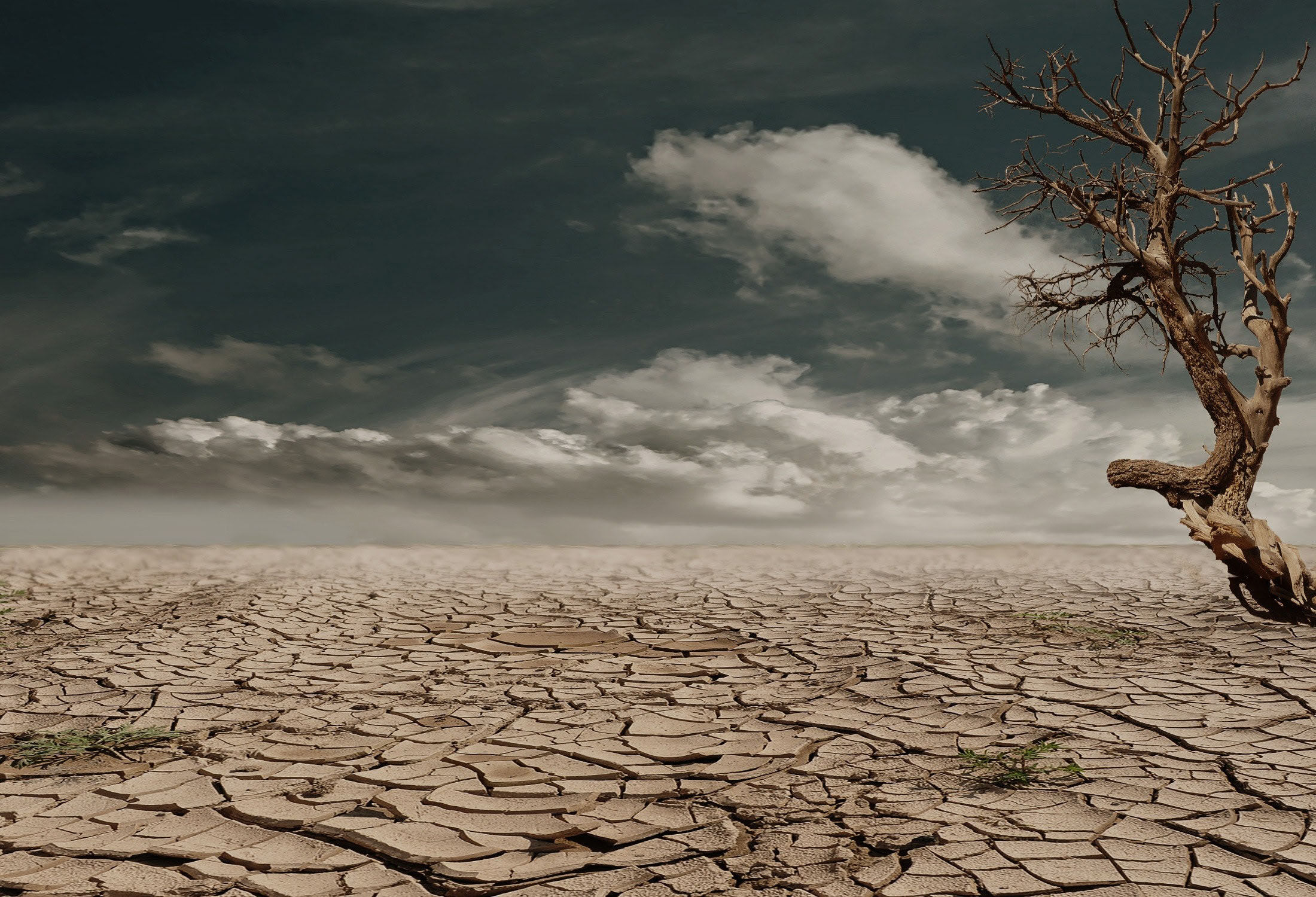 Unsustainable Magazine
