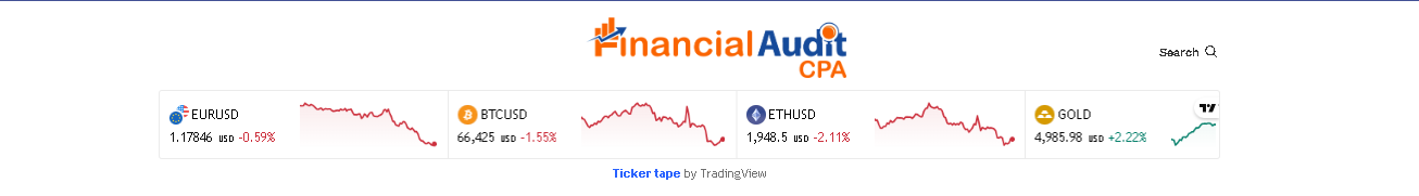 Financial Audit Cpa