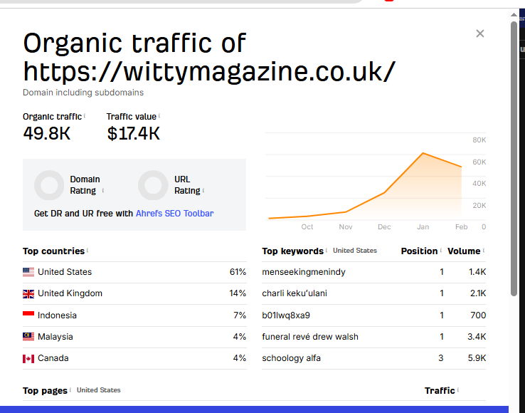 WittyMagazine