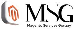 Magentoservicegonzay