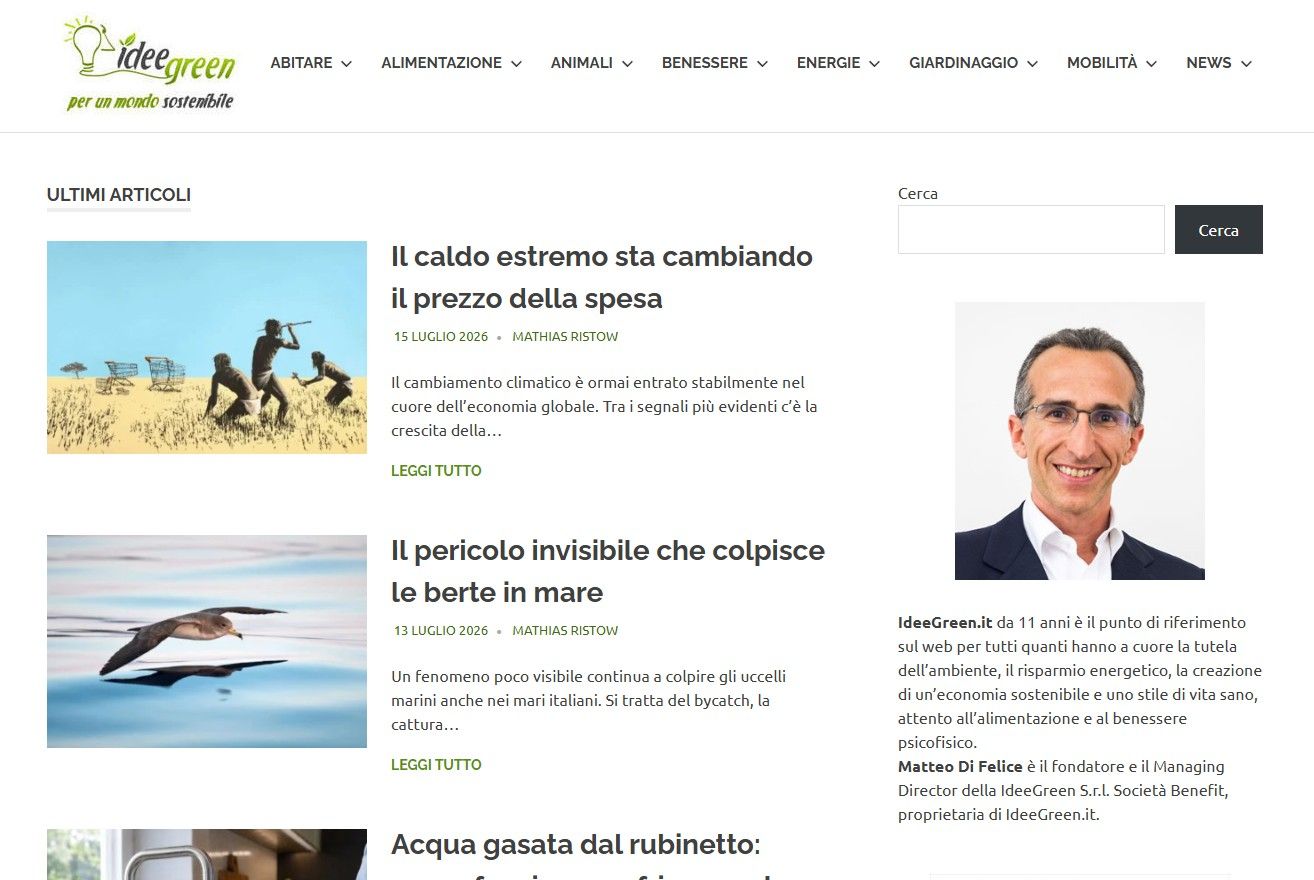 Idee Green