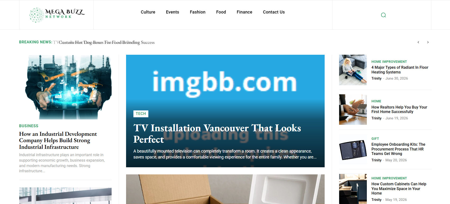 Megabuzznetwork