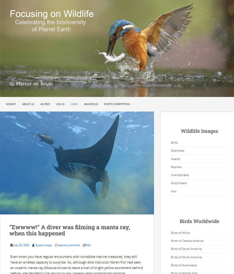 Focusing On Wildlife