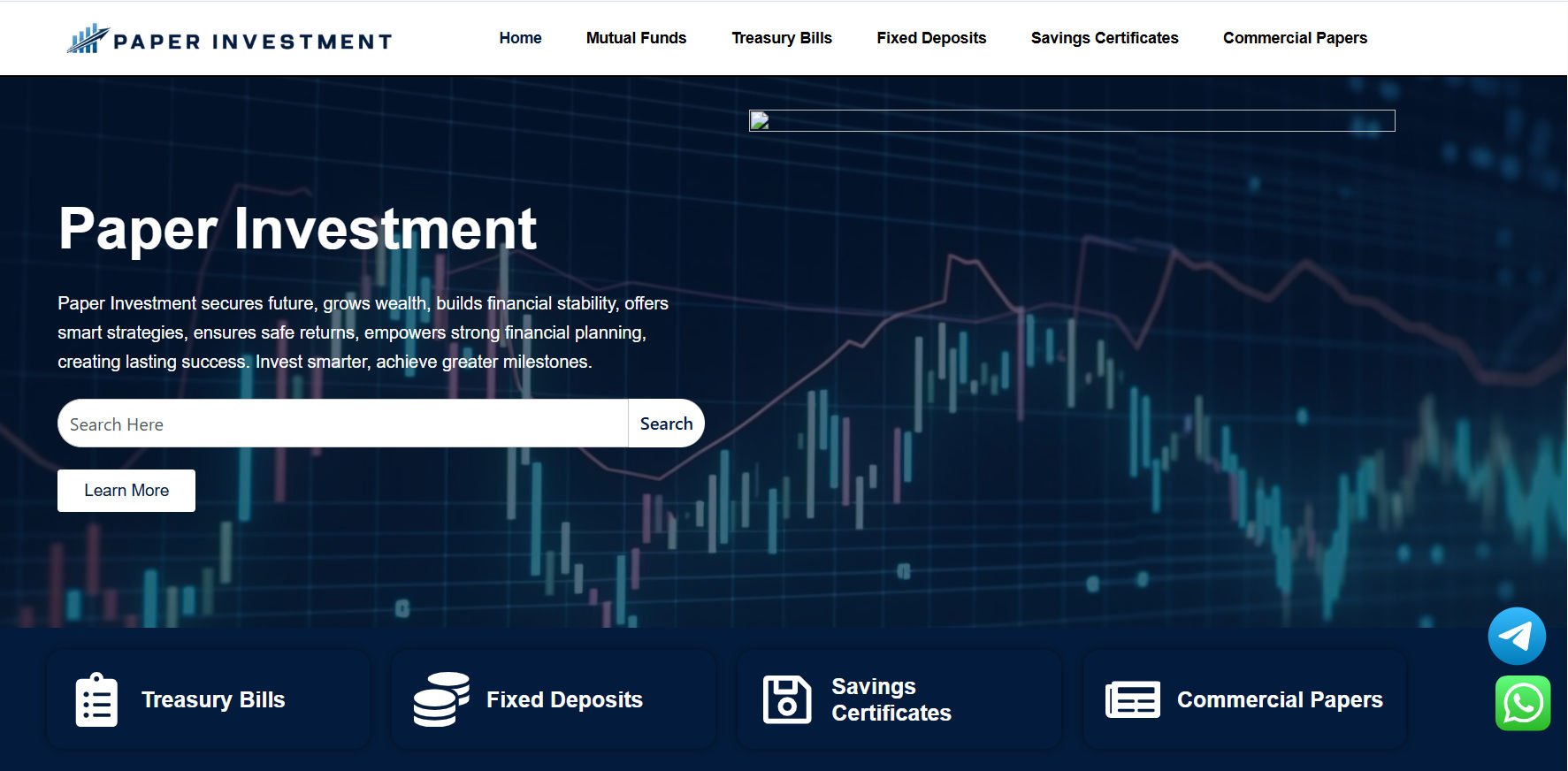 Paper Investment