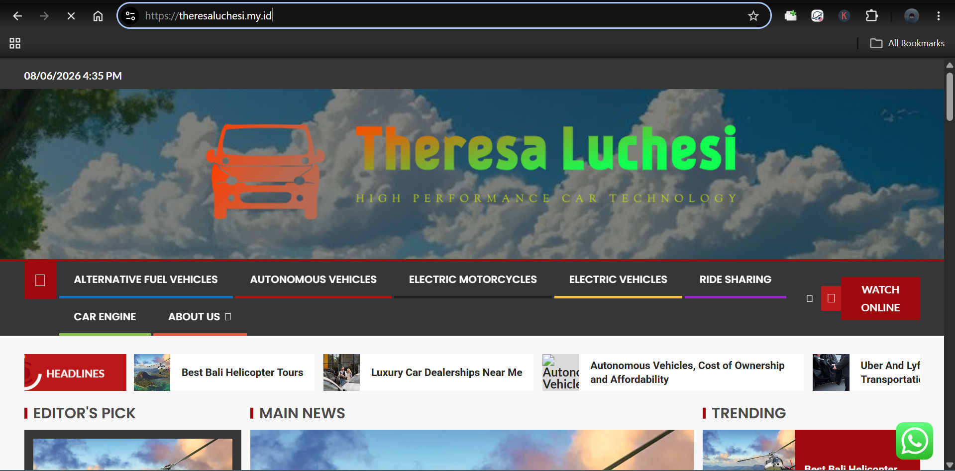 Theresaluchesi