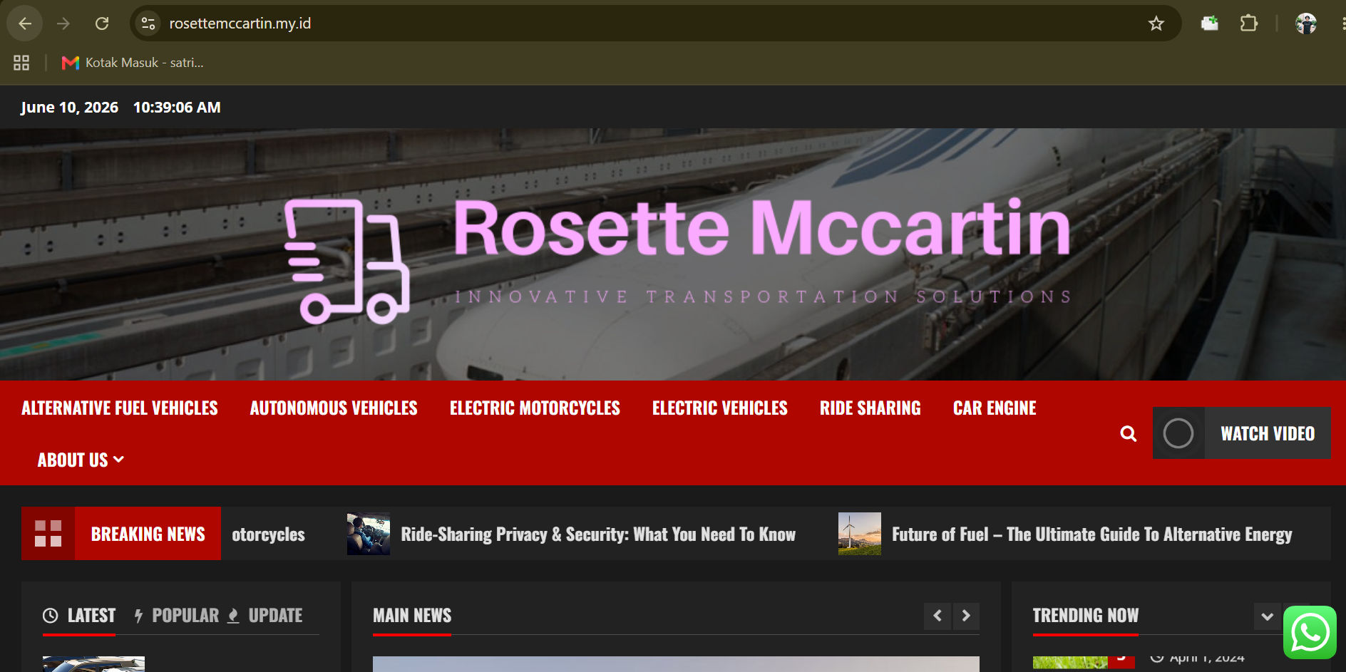 Rosette Mccartin