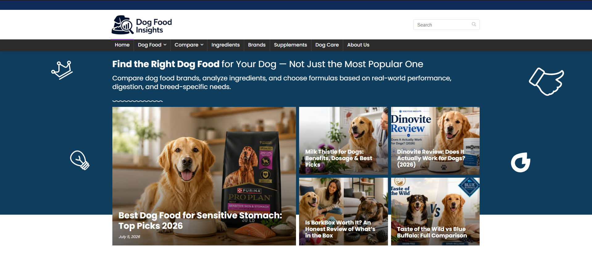 Dog Food Insights