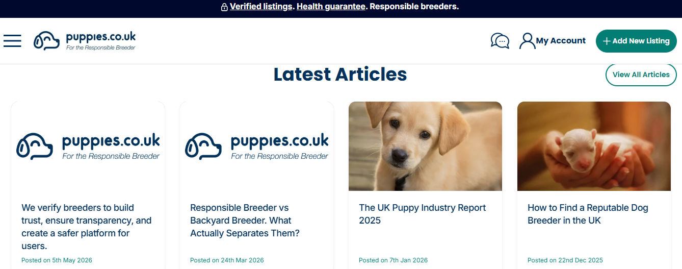 Puppies &amp; Dogs For Sale UK | Dog Breeds | Fantastic Pets For Homes