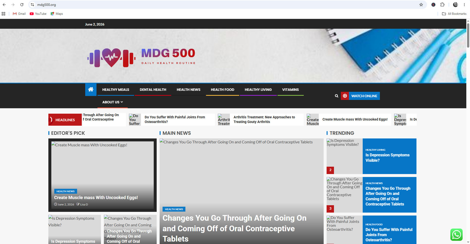 MDG 500