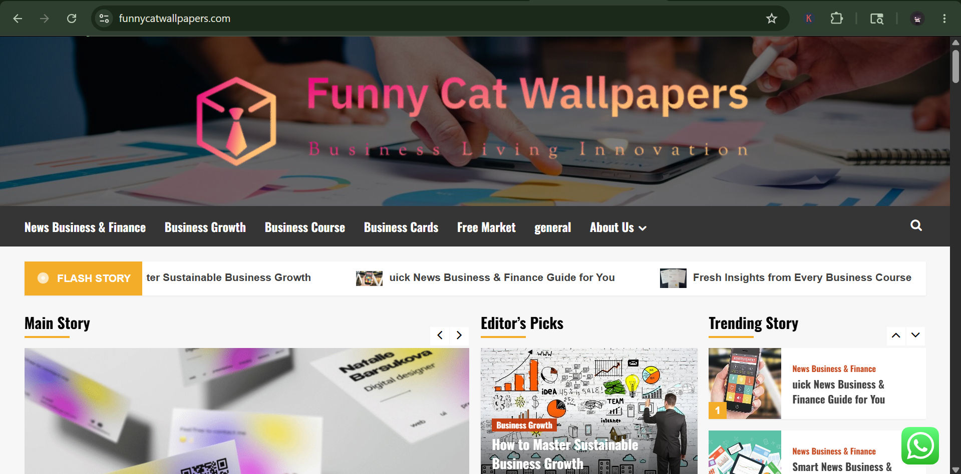 Funny Cat Wallpapers