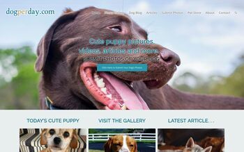 Dogperday