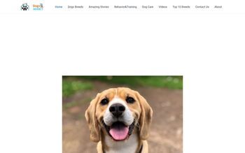 Dogsaddict.com