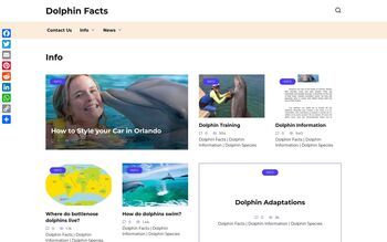 Dolphin Facts
