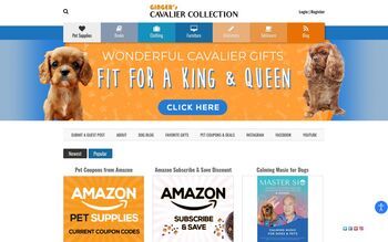 Ruby Cavalier King Charles Spaniel