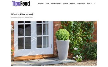 Tipsfeed.com