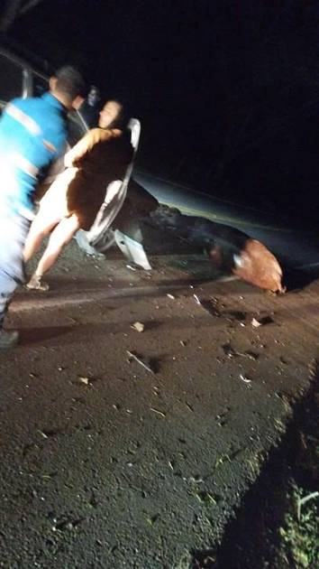 Carro accidentado 2