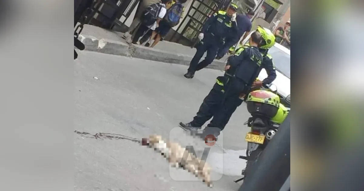 Policía aplica fuerza letal contra perro pitbull en medio de un procedimiento