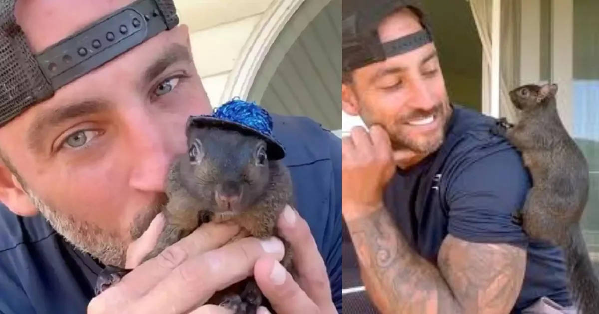 Fuerte polémica tras el sacrificio de una ardilla influencer confiscados por autoridades
