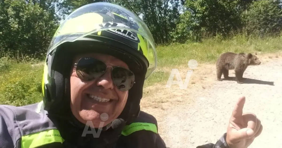 Motociclista italiano es atacado mortalmente por un oso tras fotografiarse con uno