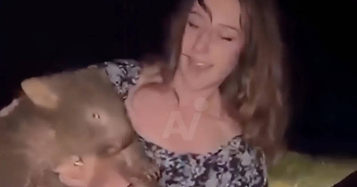 Influencer huye de Australia tras escándalo por bebé wombat