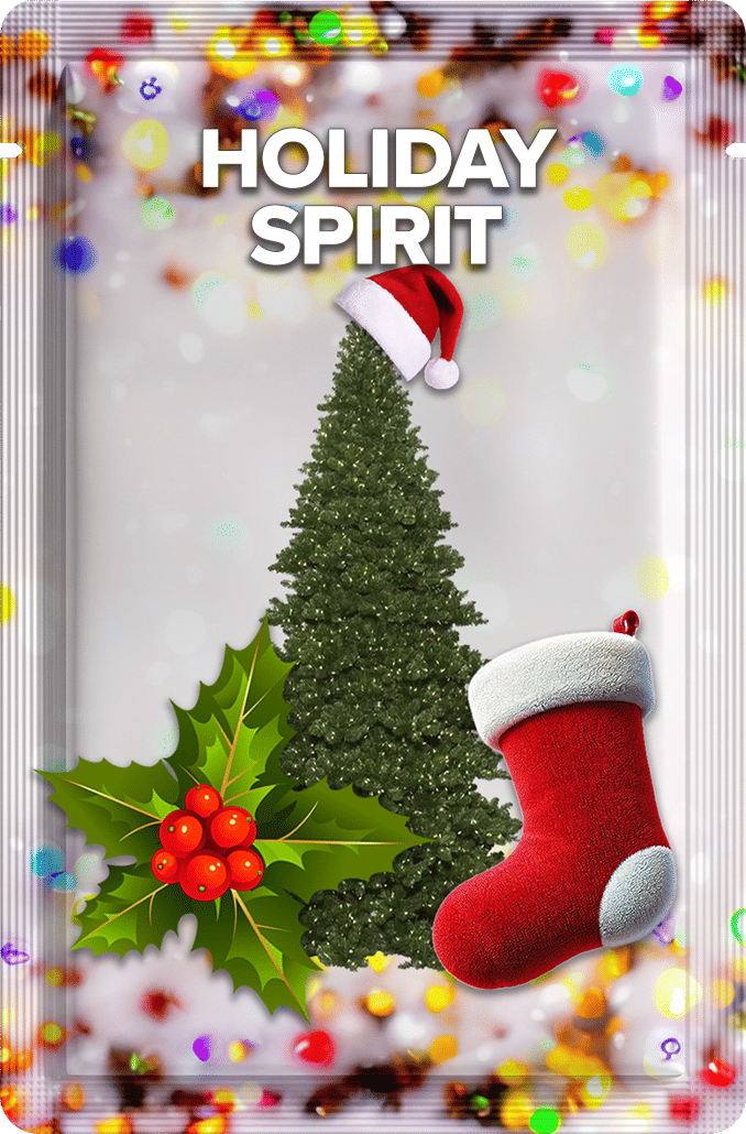 Holiday Spirit